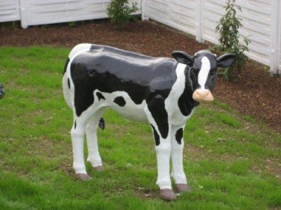 lebensgrosses Kalb GFK